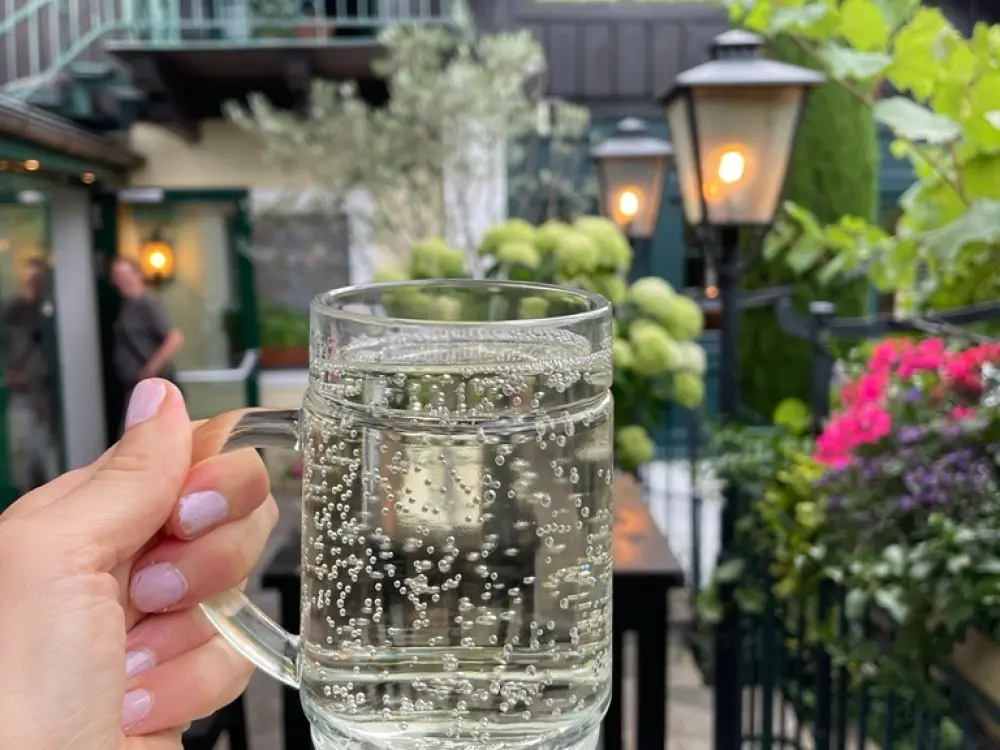 Eine Hand hält ein Glas Weißen Spritzer in die Luft. Dahinter ist der Garten des Heurigen Sissi Huber.